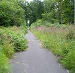 Les pistes cyclables de la forêt de Compiègne (60)