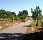 Spot : pistes cyclables – Tranche-sur-Mer (85)