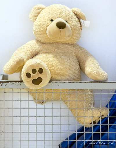 La mascotte