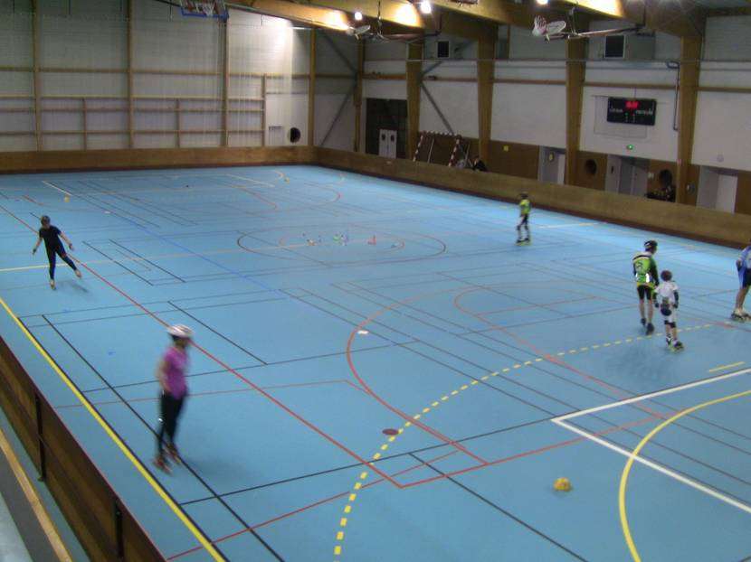 Championnat de France indoor 2013 CJS