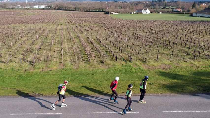 Patineurs au milieu des vignes