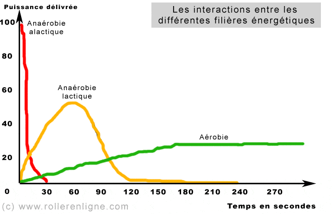 Les interactions entre les filières énergétiques