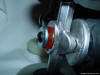 Roller Quad 100 mm Philippe Niepceron