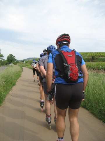 Randonnée roller des Grands Crus 2006 à Nuits-Saint-Georges (21)