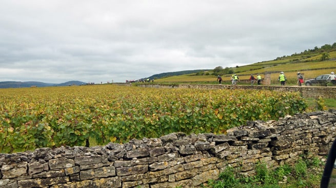 Rando des grands crus en Bourgogne
