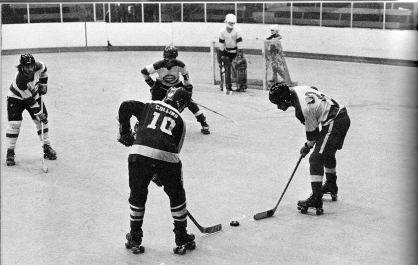 roller hockey puck 02