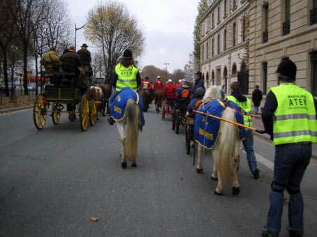 Roller Joering avec ATEM Rando Equestre