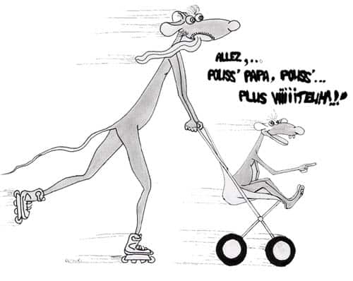Roller ou patin à roulettes et poussette : C&rsquo;est possible !