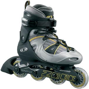 Salomon Zoom 2005 (fr)