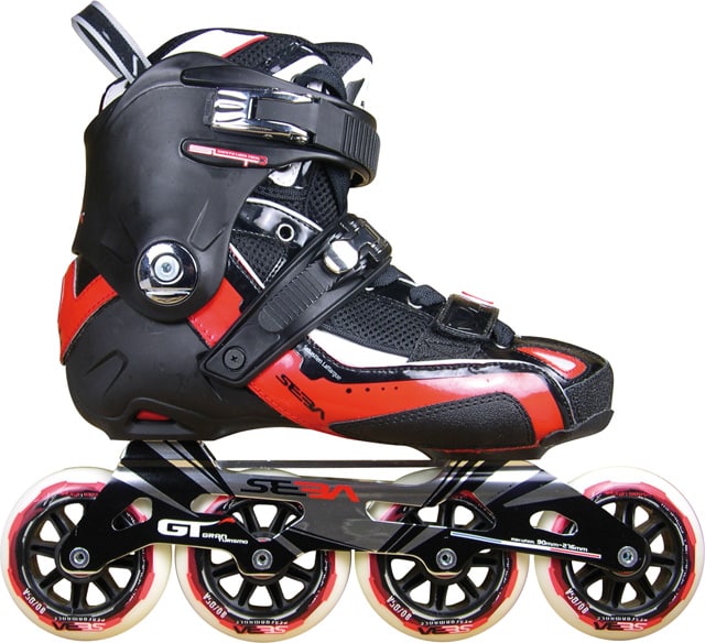 Seba Gran Tourismo 100 mm 2010 (fr)