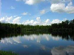 Séjour au Lac du Der 8 au 12 mai