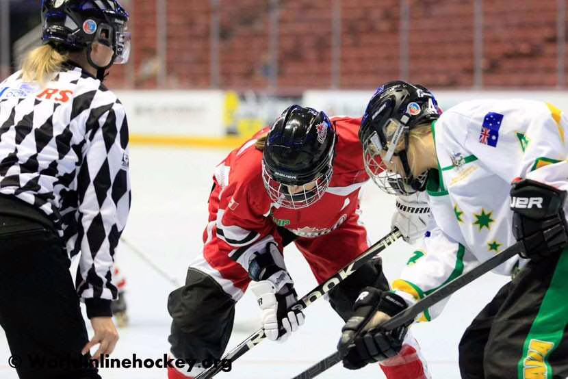 Championnat du monde roller-hockey 2013 – seniors hommes et femmes
