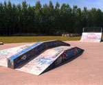 skatepark de l union small