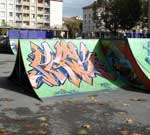 Le skatepark de Vienne (38)