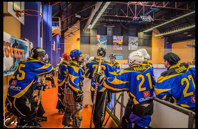 Vence Hockey Club