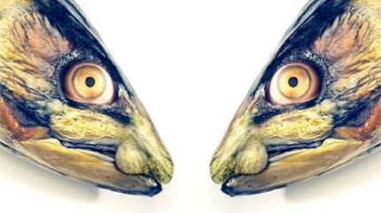 FishguysII
