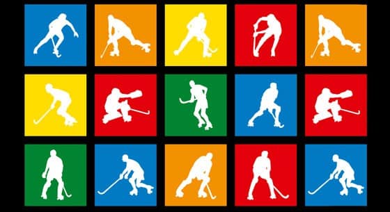Coupe des Nations de Rink Hockey 2015 à Montreux (Suisse)
