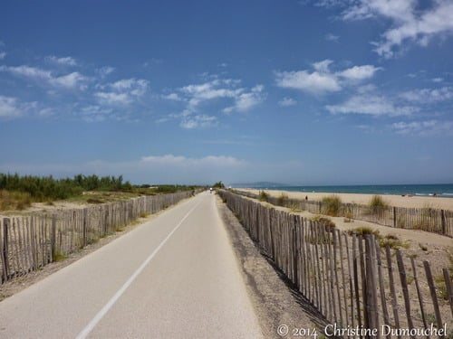 Une superbe ligne droite sur la voie verte de Sète à Marseillan