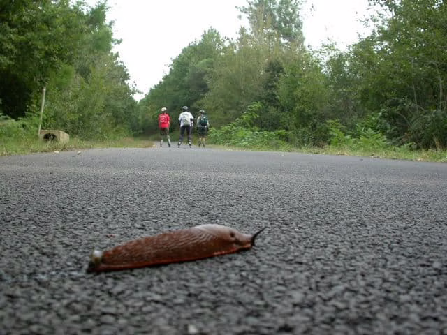 Voie verte de la « Galope Chopine »