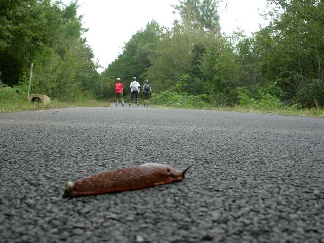 Voie verte de la « Galope Chopine »