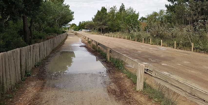 La voie verte du Lido de Carnon à la Grande-Motte La voie verte du Lido de Carnon à la Grande-Motte