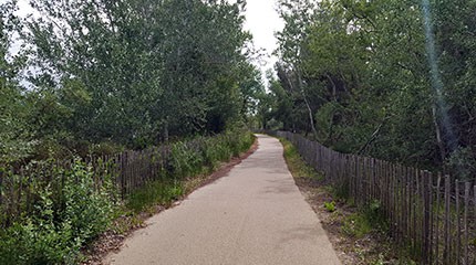 Spot : la piste cyclable de Carnon à la Grande-Motte (34)